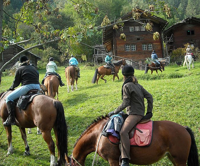 Riding holiday in the Valais Alps