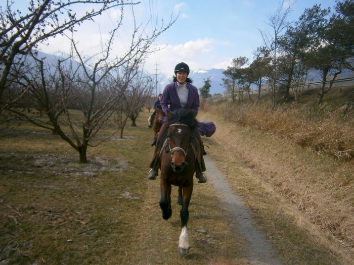 Riding holiday in the Valais Alps