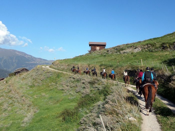 Riding holiday in the Valais Alps