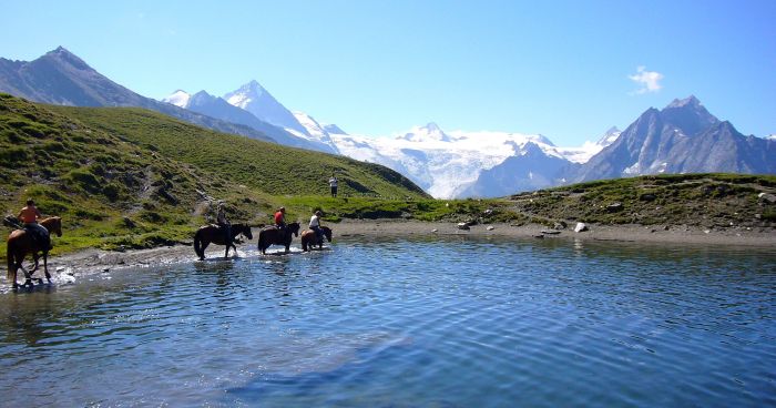 Riding holiday in the Valais Alps