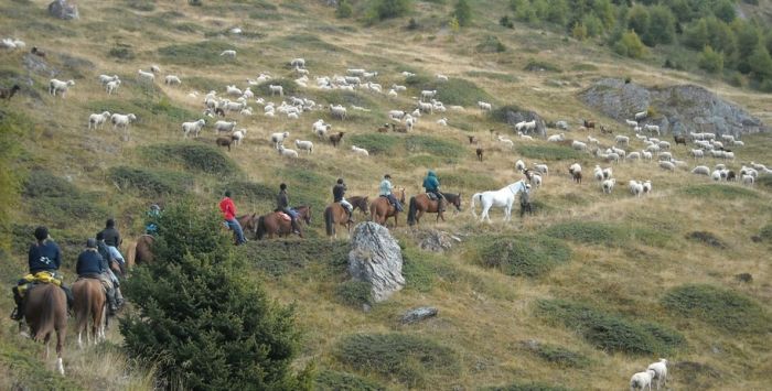 Riding holiday in the Valais Alps