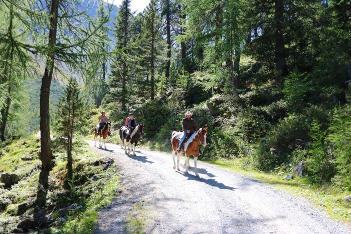 Riding vacation in the Münstertal Graubünden