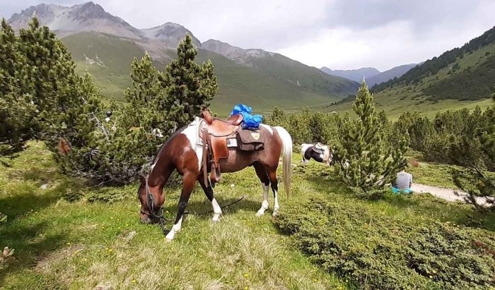Riding vacation in the Münstertal Graubünden