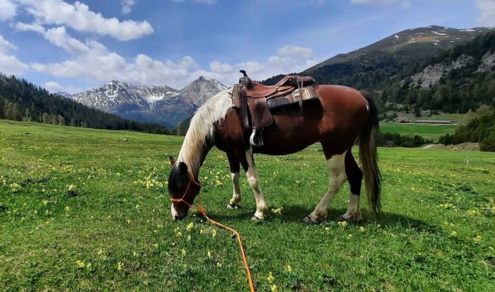 Riding vacation in the Münstertal Graubünden