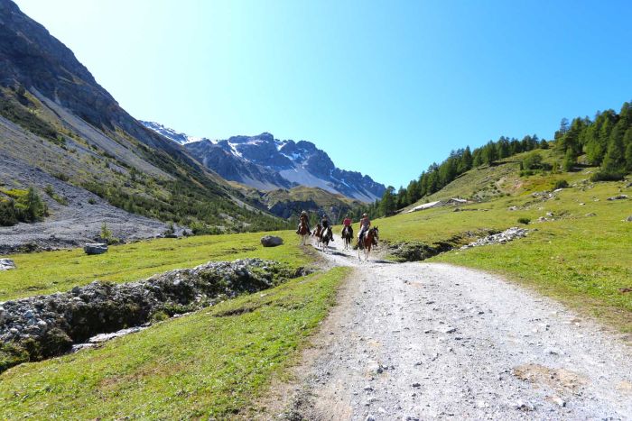 Riding vacation in the Münstertal Graubünden