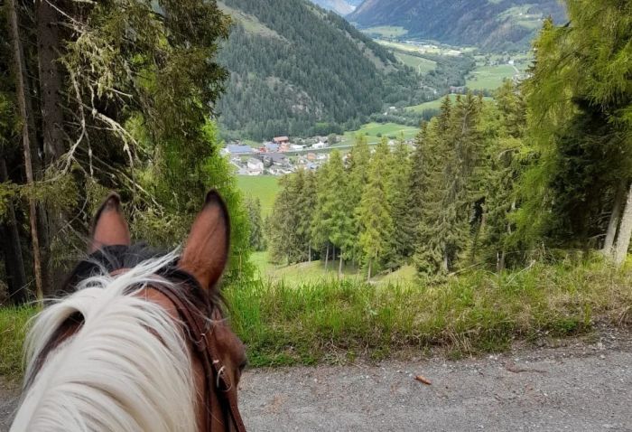 Riding vacation in the Münstertal Graubünden