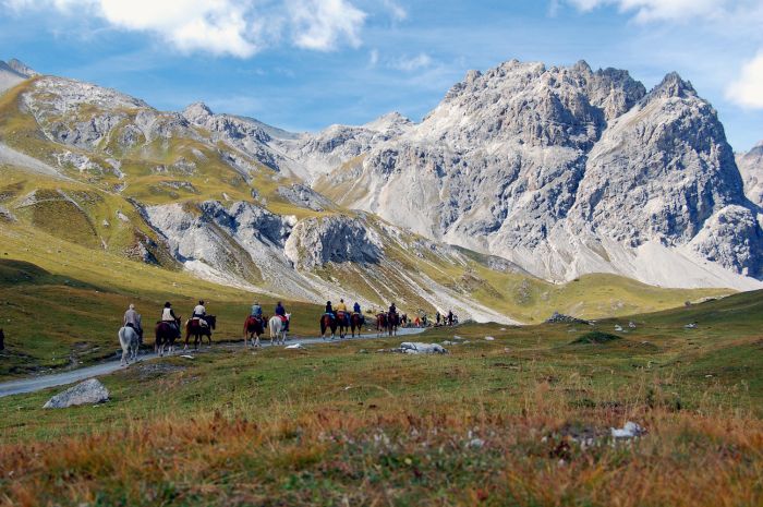 Panorama Trails through the Alps