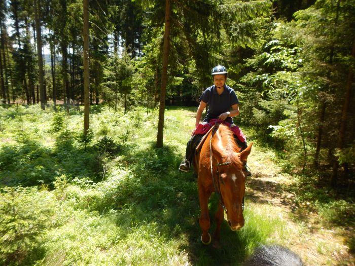 Riding Paradise in the Mühlviertel