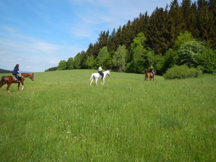 Riding Paradise in the Mühlviertel