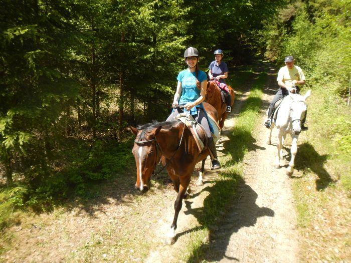 Riding Paradise in the Mühlviertel
