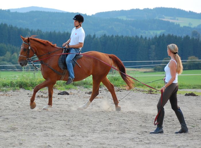 Riding Paradise in the Mühlviertel
