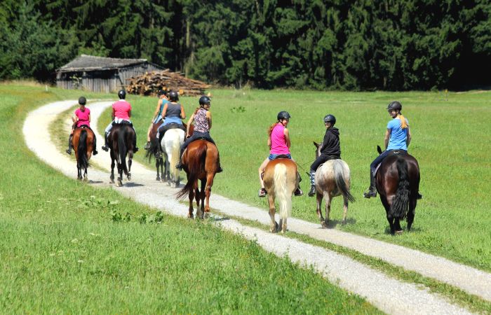 Riding Paradise in the Mühlviertel