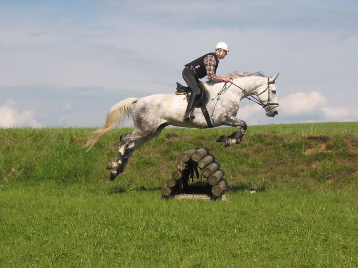 Riding Paradise in the Mühlviertel
