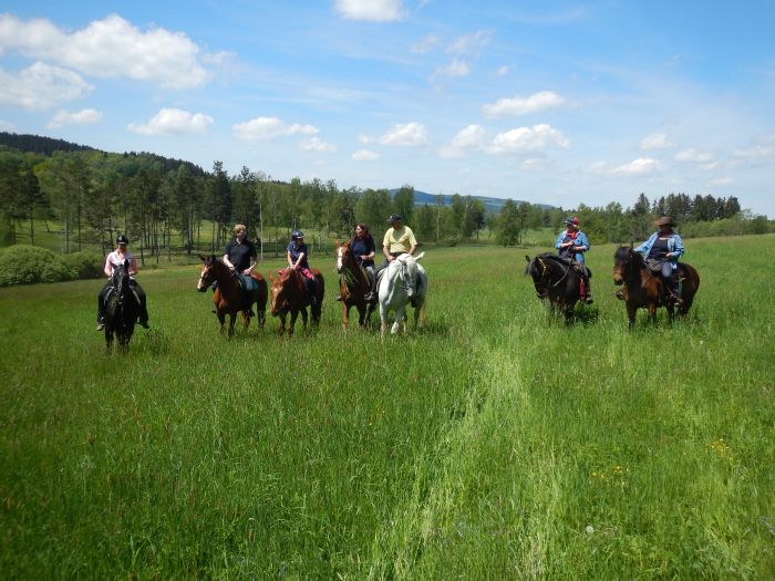Riding Paradise in the Mühlviertel