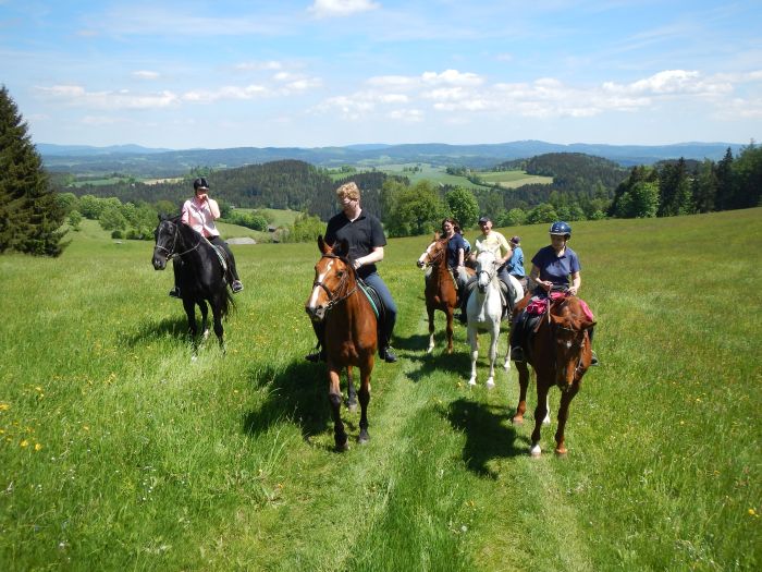 Riding Paradise in the Mühlviertel