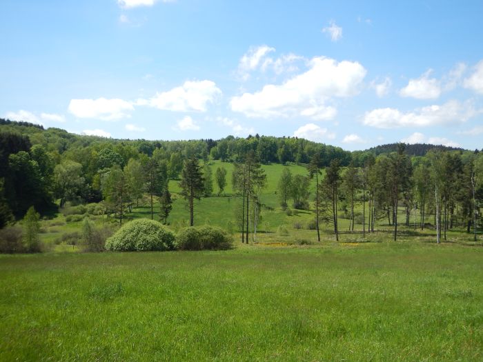 Riding Paradise in the Mühlviertel