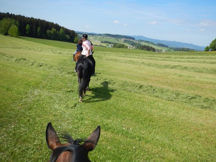 Riding Paradise in the Mühlviertel
