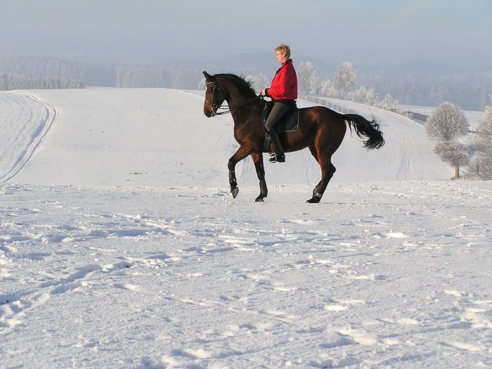 Riding Paradise in the Mühlviertel