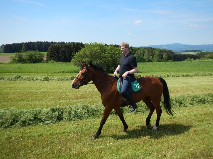 Riding Paradise in the Mühlviertel