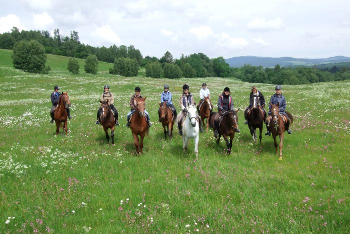 Riding Paradise in the Mühlviertel