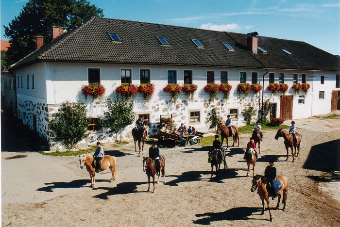 Riding Paradise in the Mühlviertel