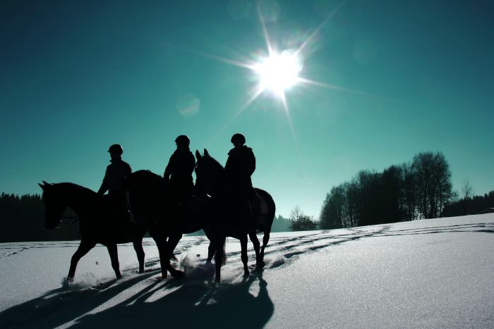 Riding Paradise in the Mühlviertel