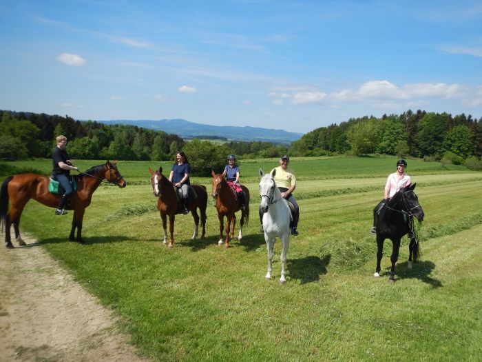 Riding Paradise in the Mühlviertel