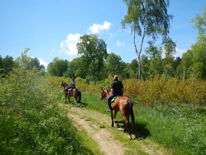 Riding Paradise in the Mühlviertel