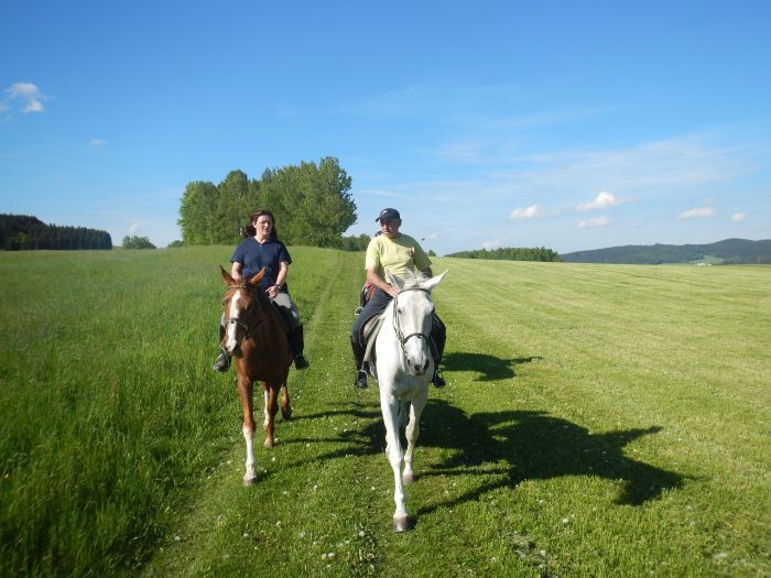 Riding Paradise in the Mühlviertel