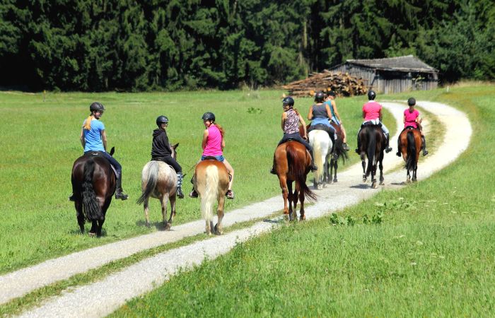 Riding Paradise in the Mühlviertel