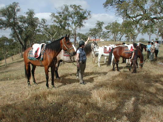 Alentejo Coast Trail