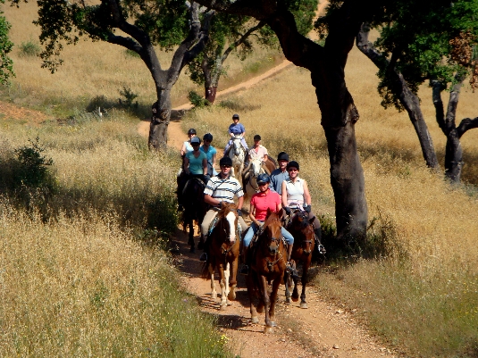 Alentejo Coast Trail