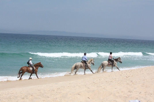 Alentejo Coast Trail