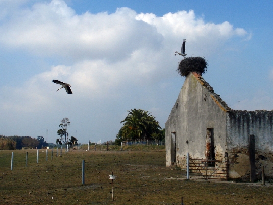 Alentejo Coast Trail