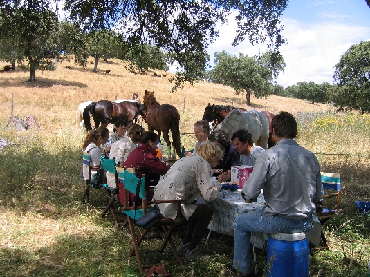 Alentejo Coast Trail