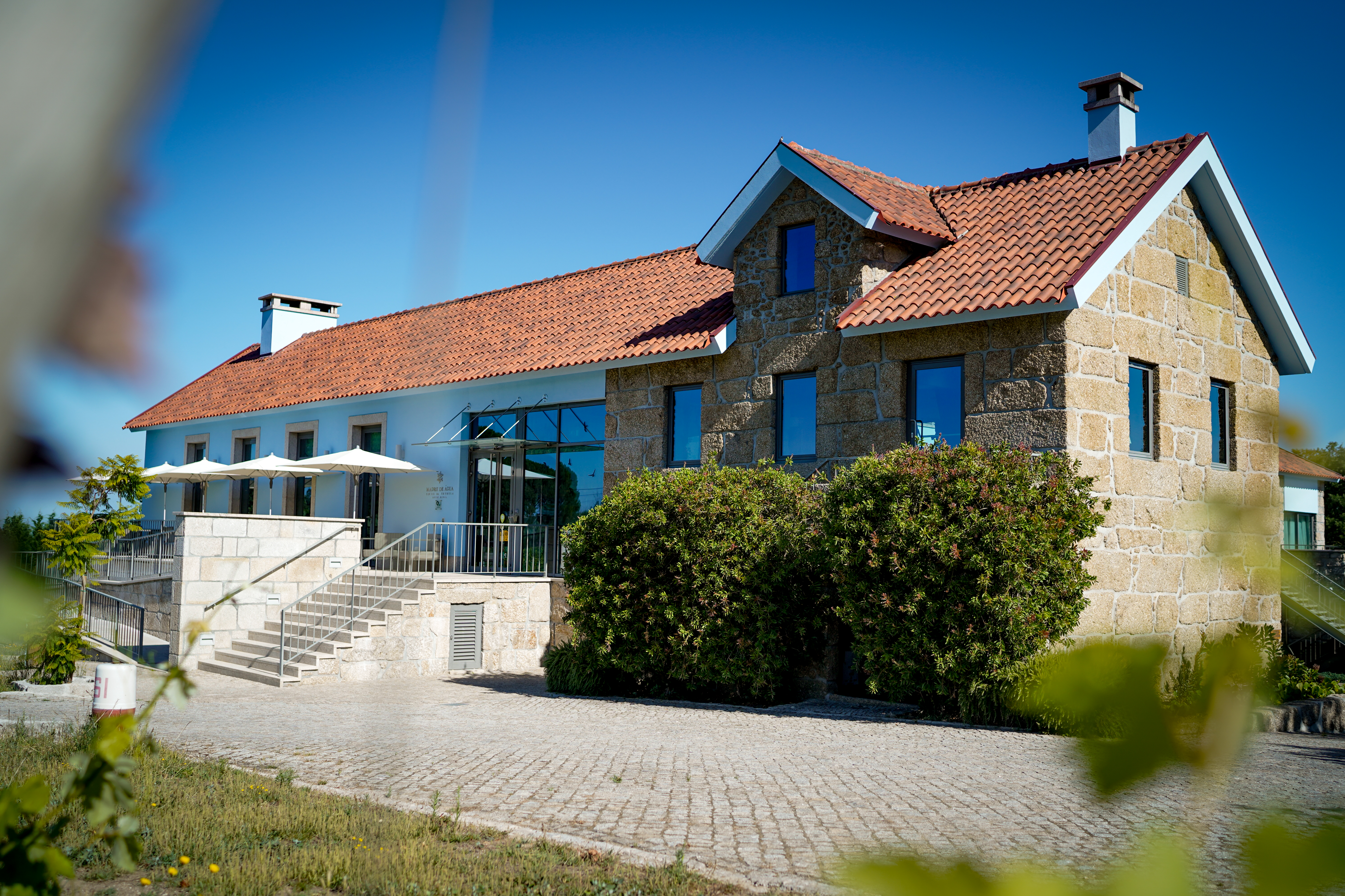 Dressage riding & winery at Serra da Estrela Accomodation