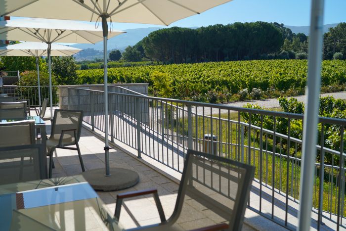 Dressage riding & winery at Serra da Estrela