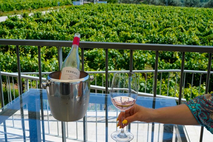 Dressage riding & winery at Serra da Estrela