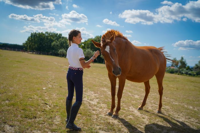 Dressage riding & winery at Serra da Estrela