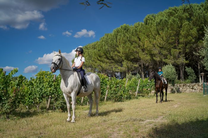 Dressage riding & winery at Serra da Estrela