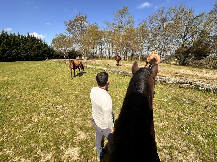 Dressage riding & winery at Serra da Estrela