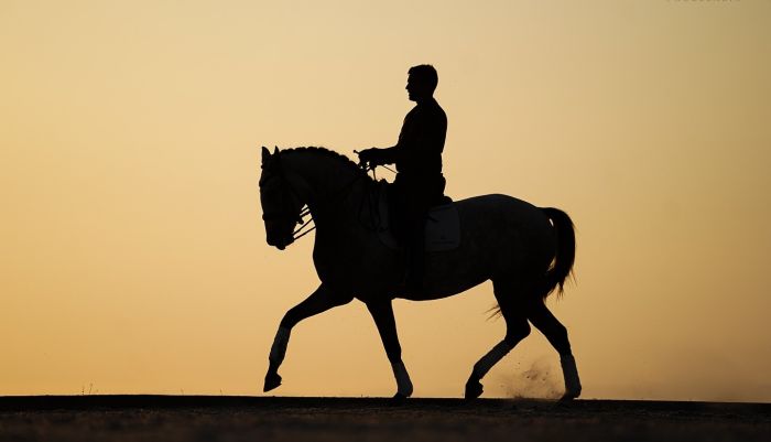 Dressage riding & winery at Serra da Estrela