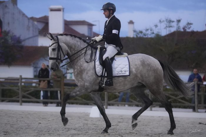 Dressage riding & winery at Serra da Estrela