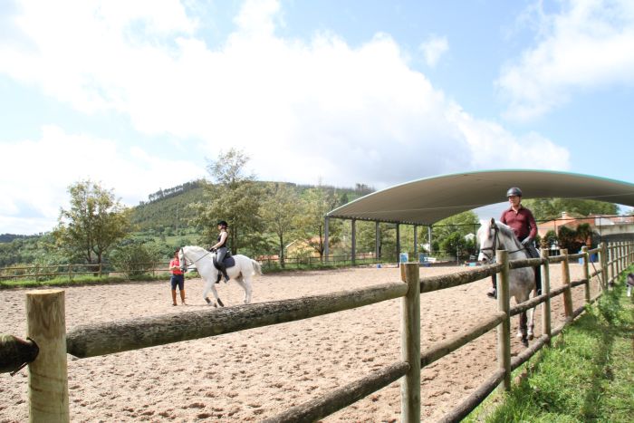Dressage training with Lusitanos on Alcainca