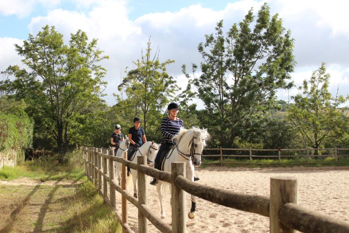 Dressage training with Lusitanos on Alcainca