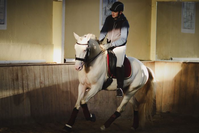 Dressage training with Lusitanos on Alcainca