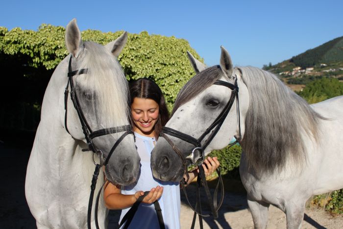 Dressage training with Lusitanos on Alcainca