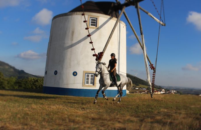 Dressage training with Lusitanos on Alcainca