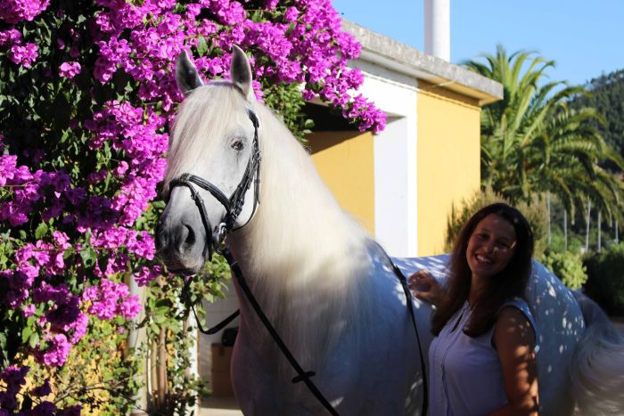 Dressage training with Lusitanos on Alcainca