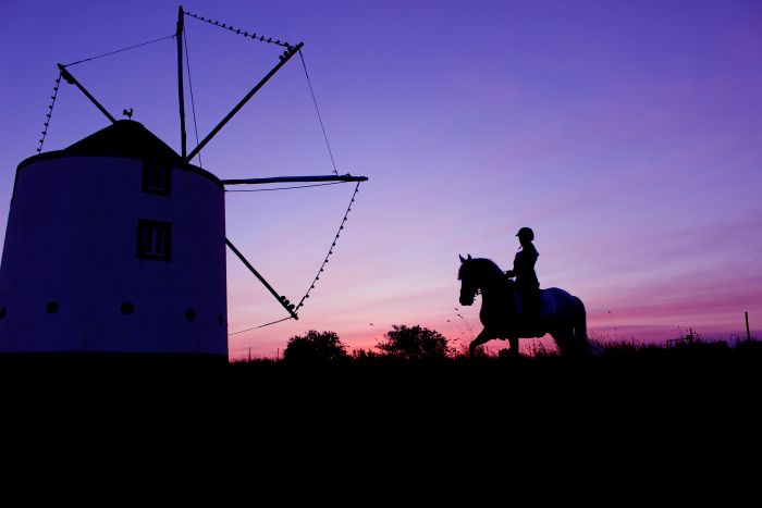 Dressage training with Lusitanos on Alcainca